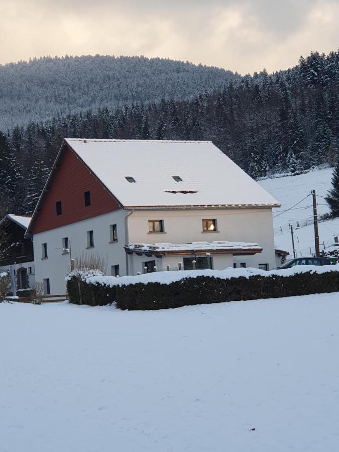 Appart Renard 4 Etoiles Cornimont Exterior foto
